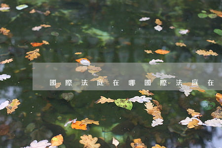 國際法庭在哪(國際法庭在哪個國家哪個城市)