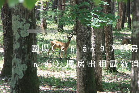 圍場(chǎng)租房信息(圍場(chǎng)樓房出租最新消息)