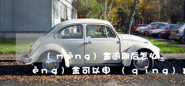 圓夢(mèng)金逾期后怎么還 圓夢(mèng)金可以申請(qǐng)延期還款嗎
