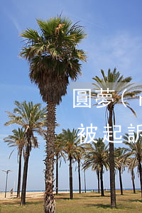 圓夢(mèng)金逾期幾天會(huì)被起訴嗎-圓夢(mèng)金逾期1天