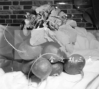 圓夢金逾期三天會怎樣(圓夢金逾期三天會怎樣)