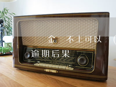 圓夢金還不上可以協(xié)商嗎?（圓夢金逾期后果）