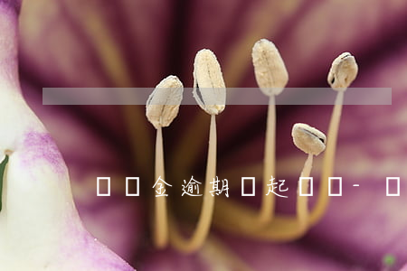 圓滿金逾期會起訴嗎-圓滿金逾期會起訴嗎