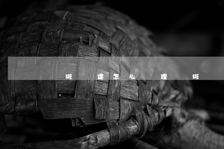 圖斑違建怎么處理(圖斑違建是什么意思)
