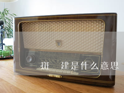 圖斑違建是什么意思(圖斑違建是什么意思)