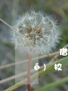 圖書館借書超過(guò)期限了（學(xué)校圖書館借書逾期三天）
