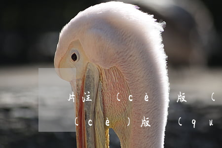 圖片注冊(cè)版權(quán)(圖片注冊(cè)版權(quán))