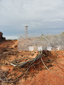 圖紙電子簽名是否有法律效力