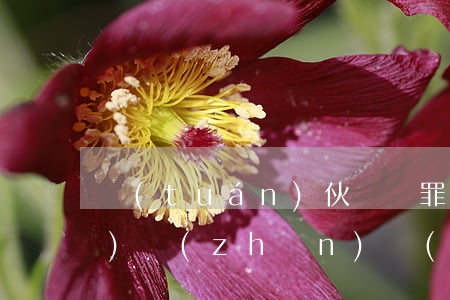 團(tuán)伙盜竊罪量刑標(biāo)準(zhǔn)（團(tuán)伙盜竊中從犯的處罰）