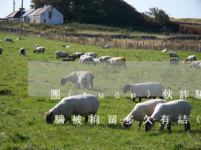 團(tuán)伙詐騙刑拘最快多久出來(詐騙被拘留多久有結(jié)果)