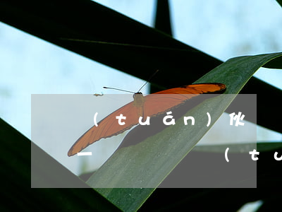 團(tuán)伙詐騙每個(gè)人量刑一樣嗎(詐騙團(tuán)伙怎么定罪幾人)