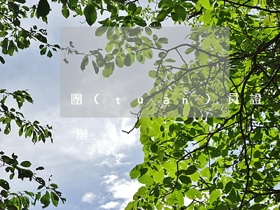 團(tuán)員證丟了去哪里補(bǔ)辦