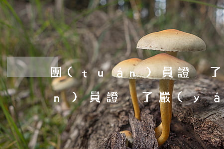 團(tuán)員證丟了怎么辦(團(tuán)員證丟了嚴(yán)重嗎)
