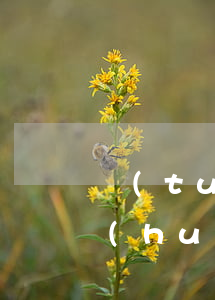 團(tuán)貸網(wǎng)vip會(huì)員逾期(團(tuán)貸網(wǎng)最新通告)