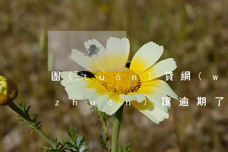 團(tuán)貸網(wǎng)智享轉(zhuǎn)讓逾期了(團(tuán)貸網(wǎng)智享轉(zhuǎn)讓逾期了)