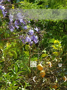 團(tuán)貸網(wǎng)的we計(jì)劃逾期嗎(團(tuán)貸網(wǎng)的we計(jì)劃逾期嗎)