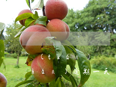 團(tuán)貸網(wǎng)資產(chǎn)逾期一天(團(tuán)貸網(wǎng)最新進(jìn)展8月份的通告)