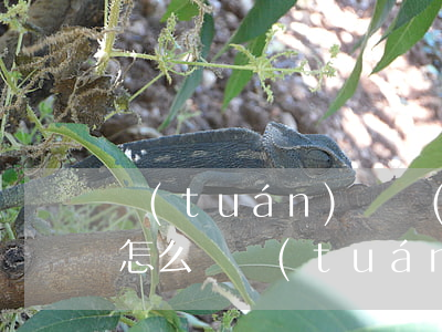 團(tuán)貸網(wǎng)逾期一天怎么辦(團(tuán)貸網(wǎng)今天最新進(jìn)展)