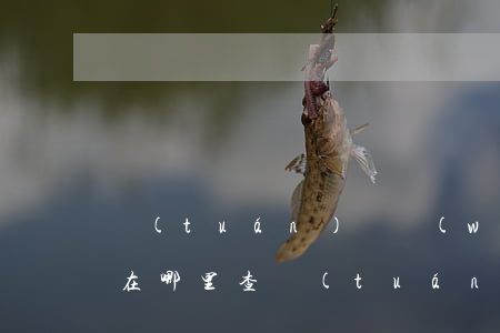 團(tuán)貸網(wǎng)逾期名單在哪里查(團(tuán)貸網(wǎng)案件的最新消息)