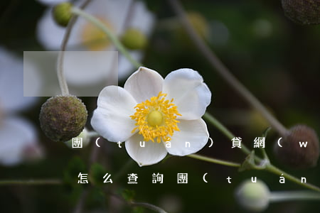 團(tuán)貸網(wǎng)逾期名單怎么查詢(團(tuán)貸網(wǎng)最新情況)