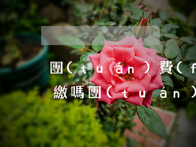 團(tuán)費(fèi)逾期2年能代繳嗎（團(tuán)費(fèi)逾期2年能代繳嗎）