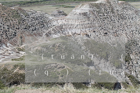 團(tuán)購網(wǎng)倒閉(社區(qū)團(tuán)購為啥倒閉)