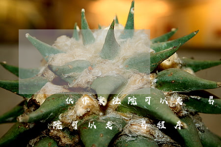 團伙作案法院可以走簡易程序嗎(團伙作案法院可以走簡易程序嗎)