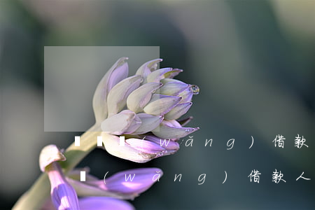 團貸網(wǎng)借款人逾期怎么辦(團貸網(wǎng)借款人逾期怎么辦)