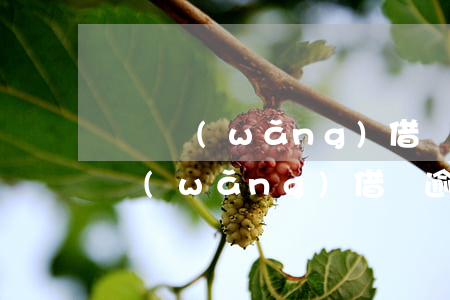 團貸網(wǎng)借錢逾期會上門嗎(團貸網(wǎng)借錢逾期會上門嗎)