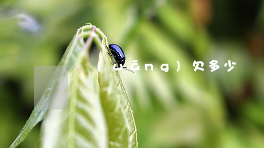 團貸網(wǎng)欠多少