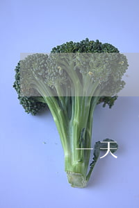 團貸網(wǎng)資產(chǎn)逾期一天(團貸網(wǎng)最新進展8月份的通告)