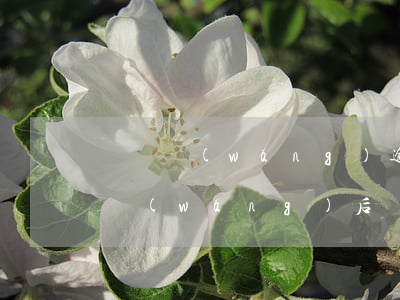 團貸網(wǎng)逾期一個月怎么辦(團貸網(wǎng)后續(xù)怎么處理)