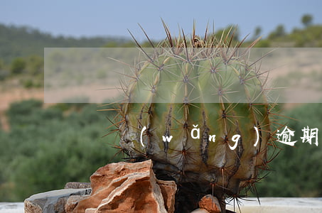 團貸網(wǎng)逾期了會上征信嗎
