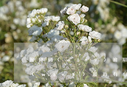 團貸網(wǎng)逾期會有利息嗎(團貸網(wǎng)最近有什么消息)