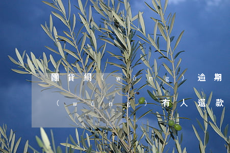 團貸網(wǎng)逾期還能借錢嗎(團貸網(wǎng)有人還款嗎)