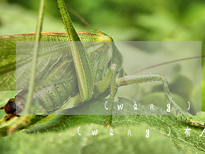 團貸網(wǎng)還款還1顯示逾期(團貸網(wǎng)有人還款嗎)