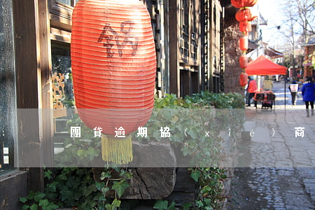 團貸逾期協(xié)商還款(銀團貸款還款)