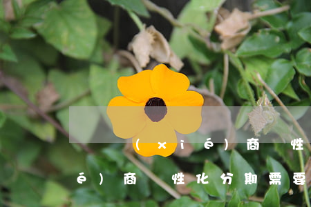 團隊協(xié)商個性化分期-協(xié)商個性化分期需要什么樣的條件