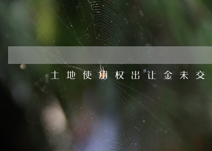土地使用权出让金未交付如何处理