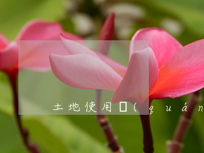 土地使用權(quán)出讓合同