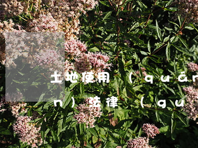 土地使用權(quán)到期相關(guān)法律規(guī)定