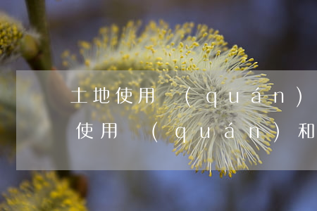 土地使用權(quán)怎么繼承分割(土地使用權(quán)和房屋所有權(quán)可以分割嗎)