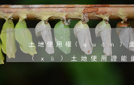 土地使用權(quán)繼承需要什么手續(xù)(土地使用證能繼承嗎)