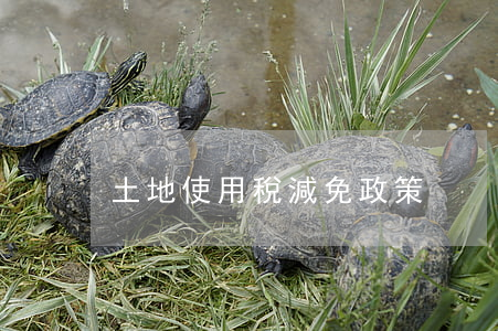 土地使用稅減免政策