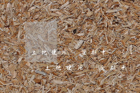 土地使用稅逾期申報(bào)需要帶什么-土地使用稅逾期申報(bào)需要帶什么資料