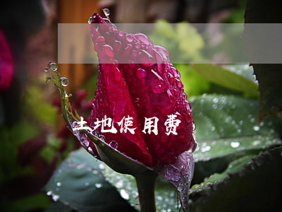 土地使用费