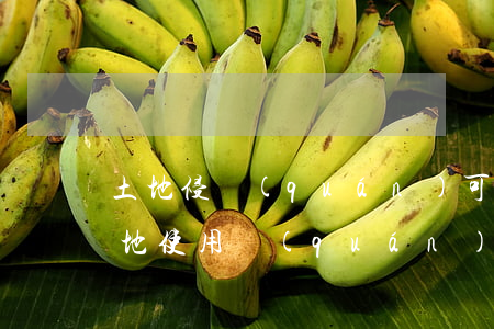 土地侵權(quán)可以向法院起訴嗎(土地使用權(quán)糾紛可以直接訴訟嗎)