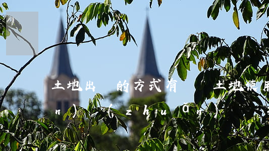 土地出讓的方式有幾種（土地使用權(quán)轉(zhuǎn)讓審批程序是怎么樣的）