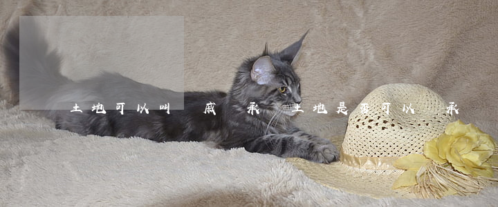 土地可以叫親戚繼承嗎(土地是否可以繼承)