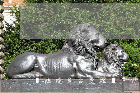 土地合同糾紛中法院可以確權(quán)嗎(法院是否受理農(nóng)村土地確權(quán)糾紛)
